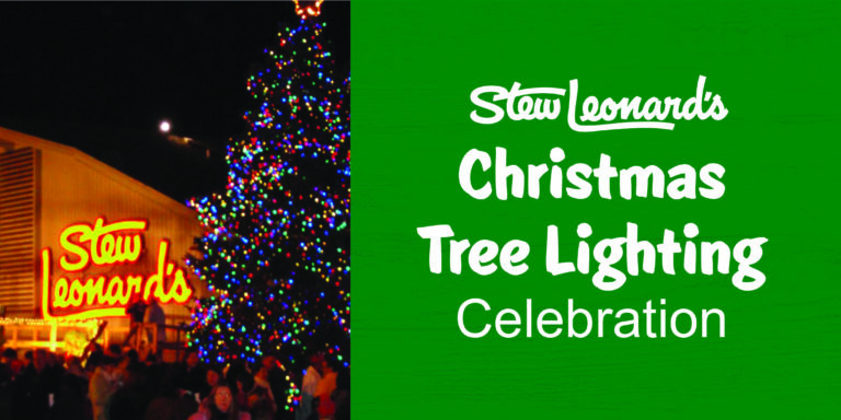 Christmas Tree Lighting Celebration Christmas Tree Lighting Celebration