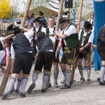 Maibaum